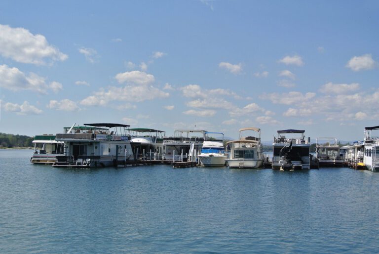 Houseboats in slips